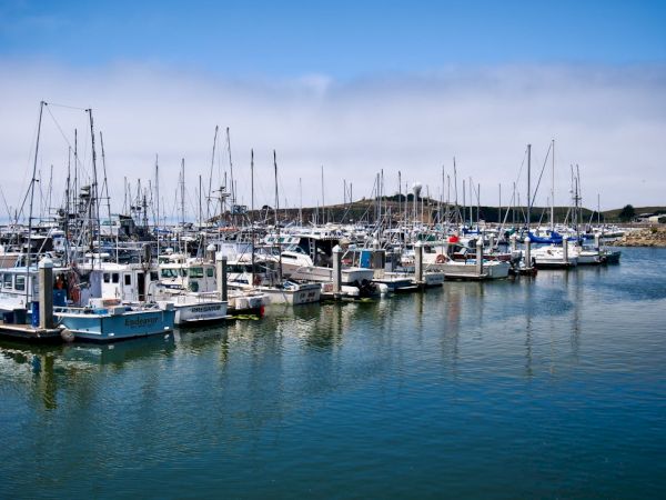 Half Moon Bay Lodge