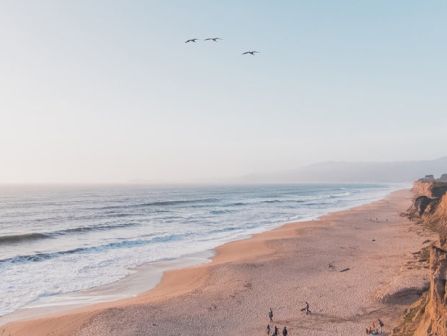 A tranquil coastline: a long sandy beach beside cliffs, gentle waves, a few people strolling, and three distant birds flying over a pale sky.