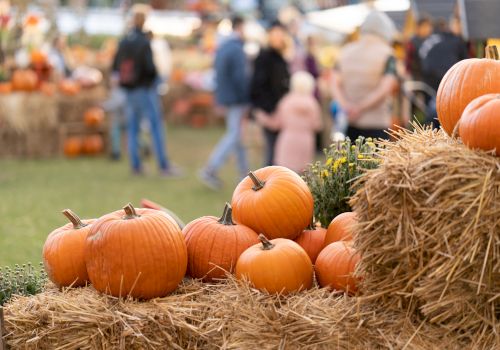 Orange pumpkins stacked on hay bales at a fall harvest festival, with blurred visitors and tents in the background, .